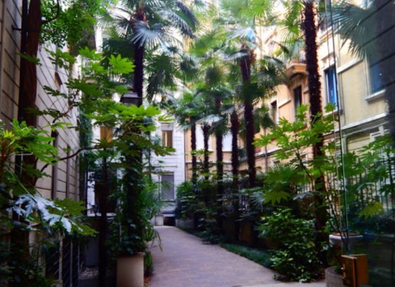 lınguaduee giris photo.jpg